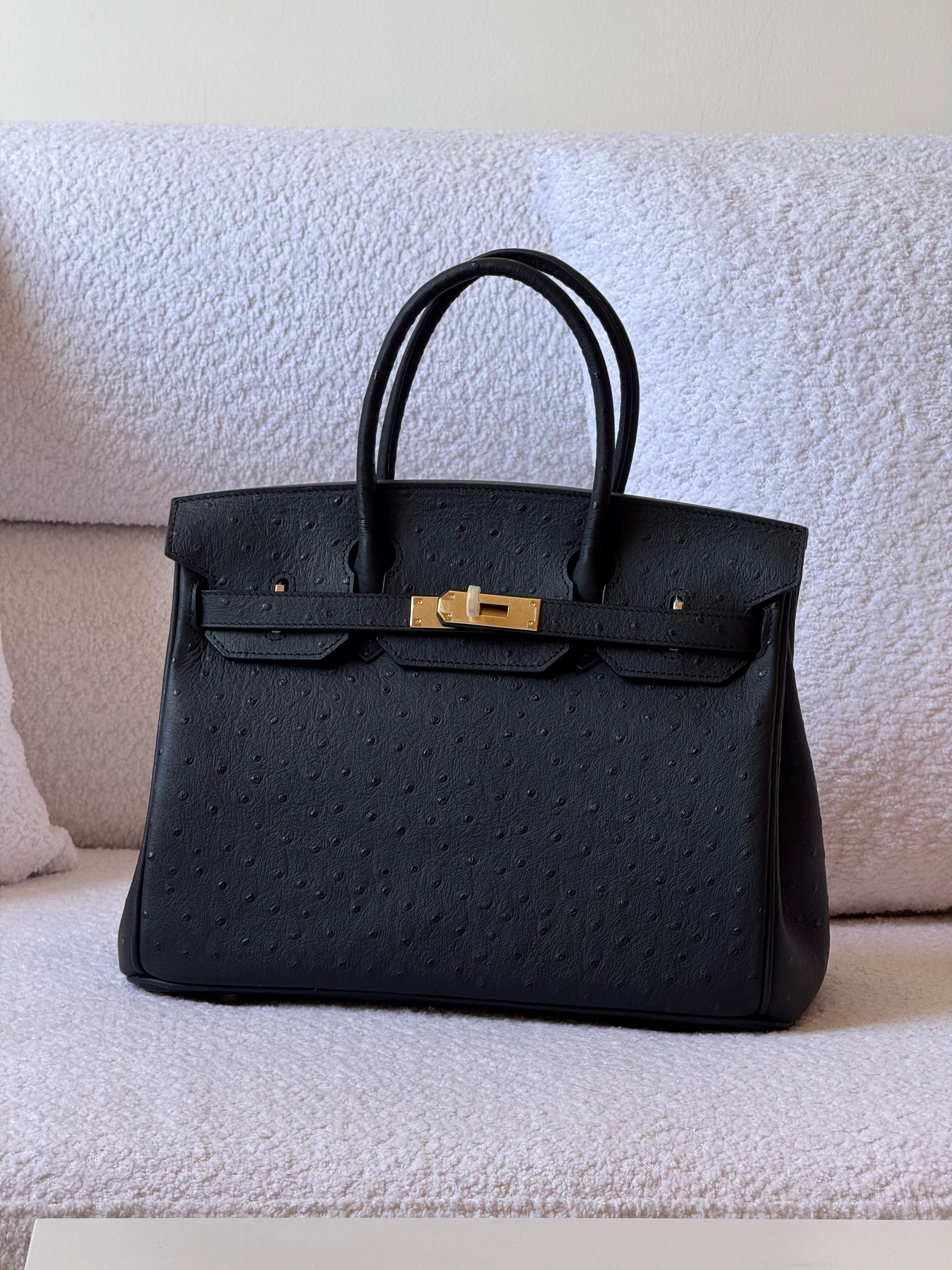 https://cdn.shopify.com/s/files/1/0648/4253/0893/files/06c86da7-3ebe-4f25-84b7-6f4e45f5585f.jpg?v=1762886808