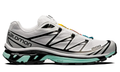 Salomon XT-6 "White Icy Morn"