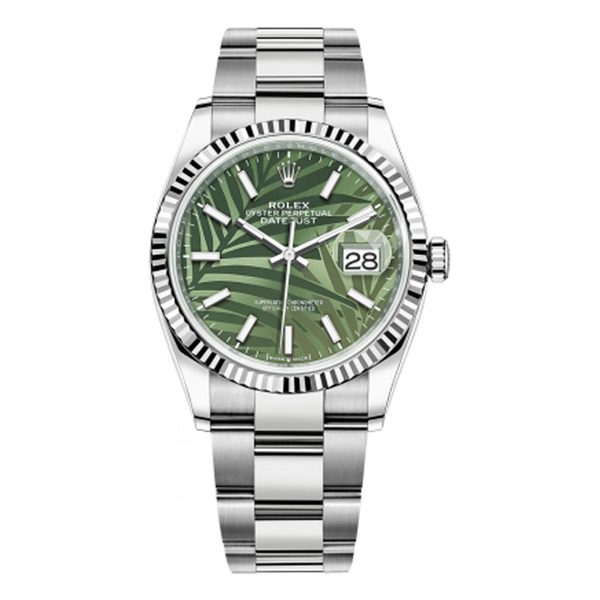 https://cdn.shopify.com/s/files/1/1016/2169/4801/files/126234-olive-palm.jpg?v=1770280068