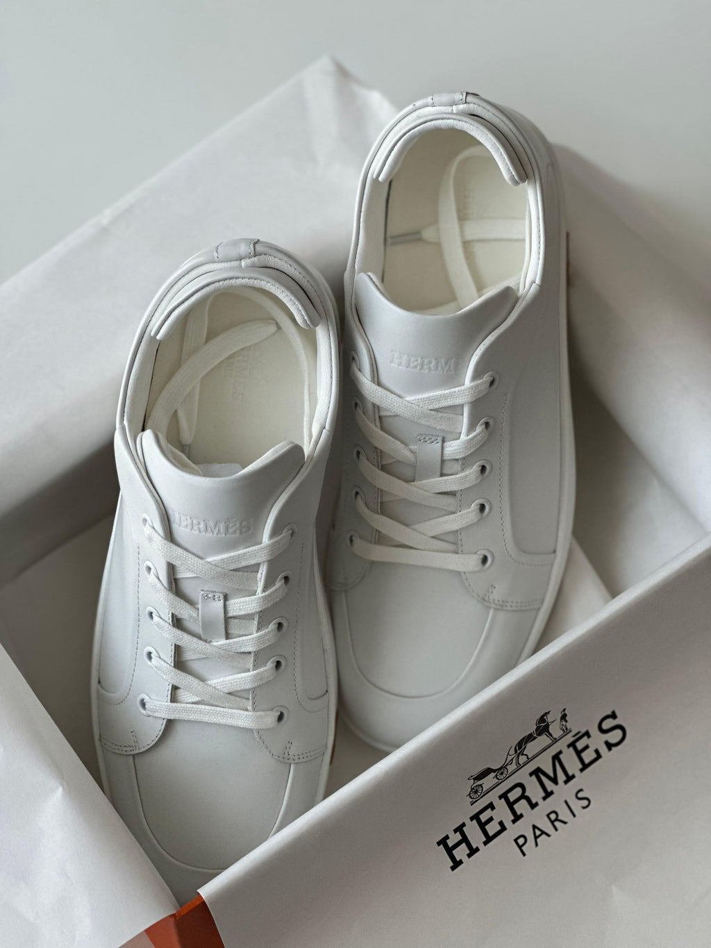 https://cdn.shopify.com/s/files/1/0648/4253/0893/files/17_2_efd2f588-3adc-451c-9477-d9bab111fa2a.jpg?v=1762887841