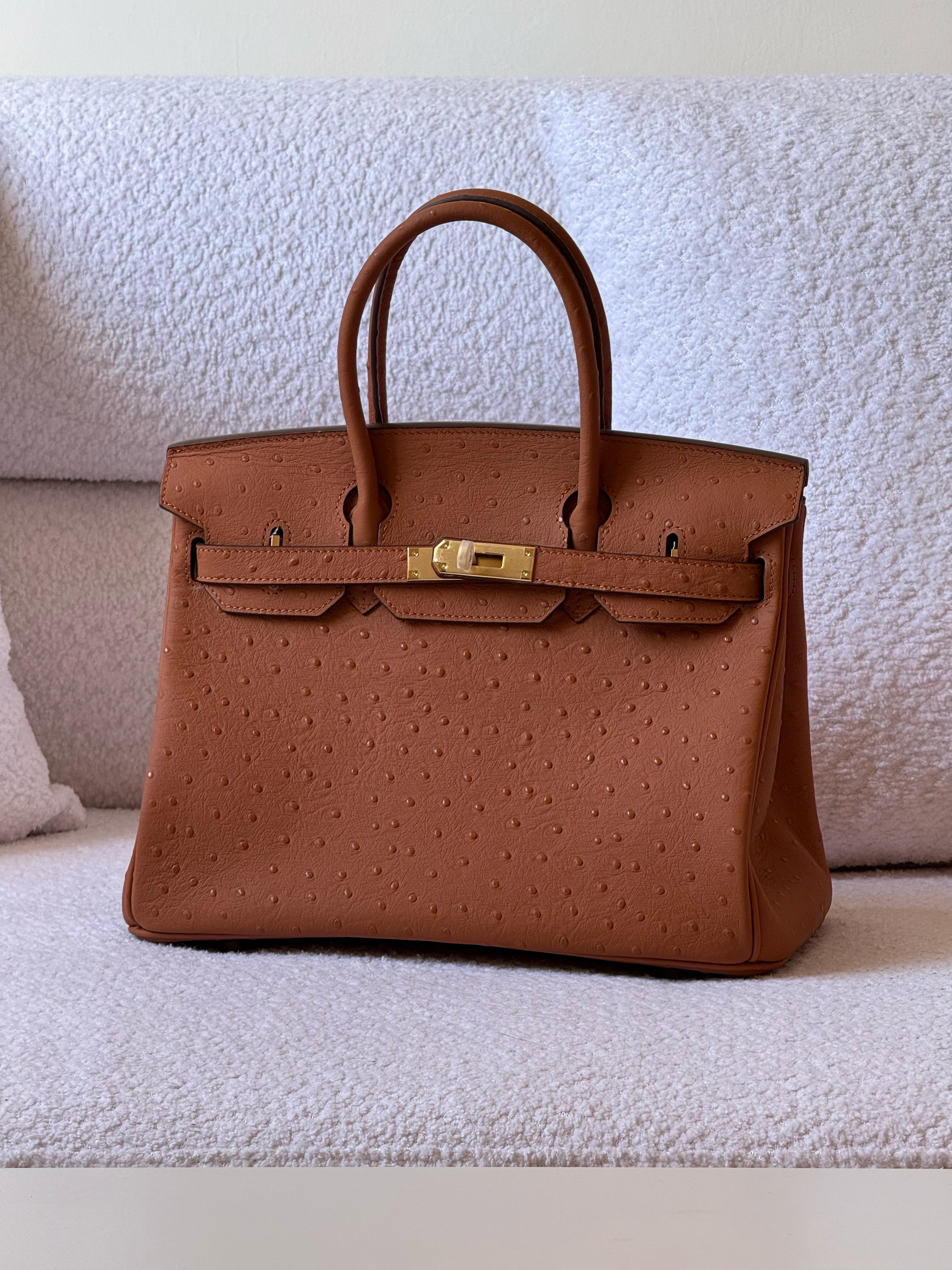 https://cdn.shopify.com/s/files/1/0648/4253/0893/files/e04eac0b-2328-41fc-a086-bbb74a378800.jpg?v=1762886809