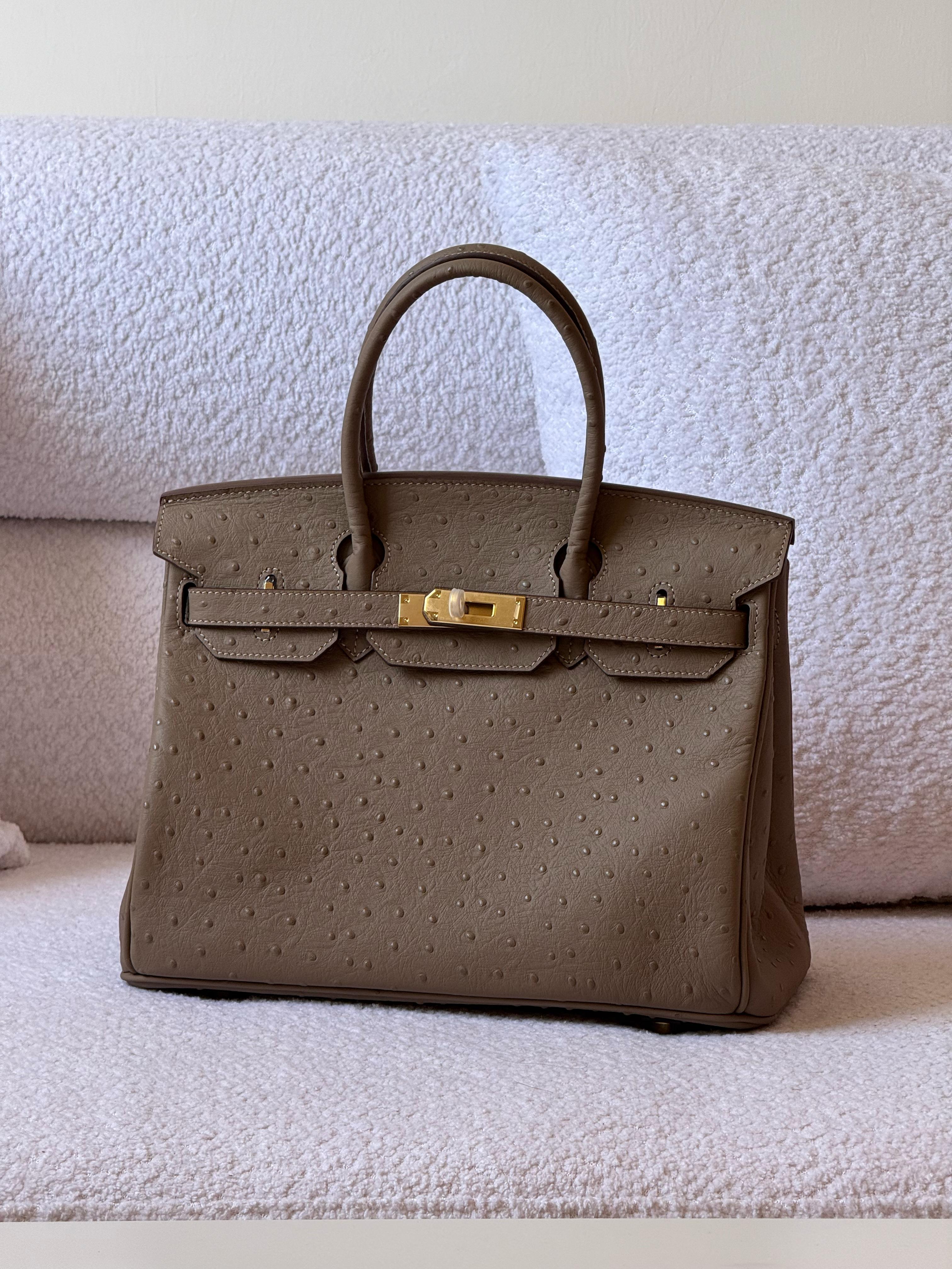 https://cdn.shopify.com/s/files/1/0648/4253/0893/files/f2c037cc-f6d7-40cd-b168-e3f375fcfdea.jpg?v=1762886810