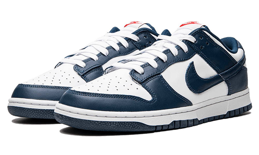 https://cdn.shopify.com/s/files/1/0560/7754/9738/products/nike-dunk-low-valerian-blue-2-1000.jpg?v=1665159319