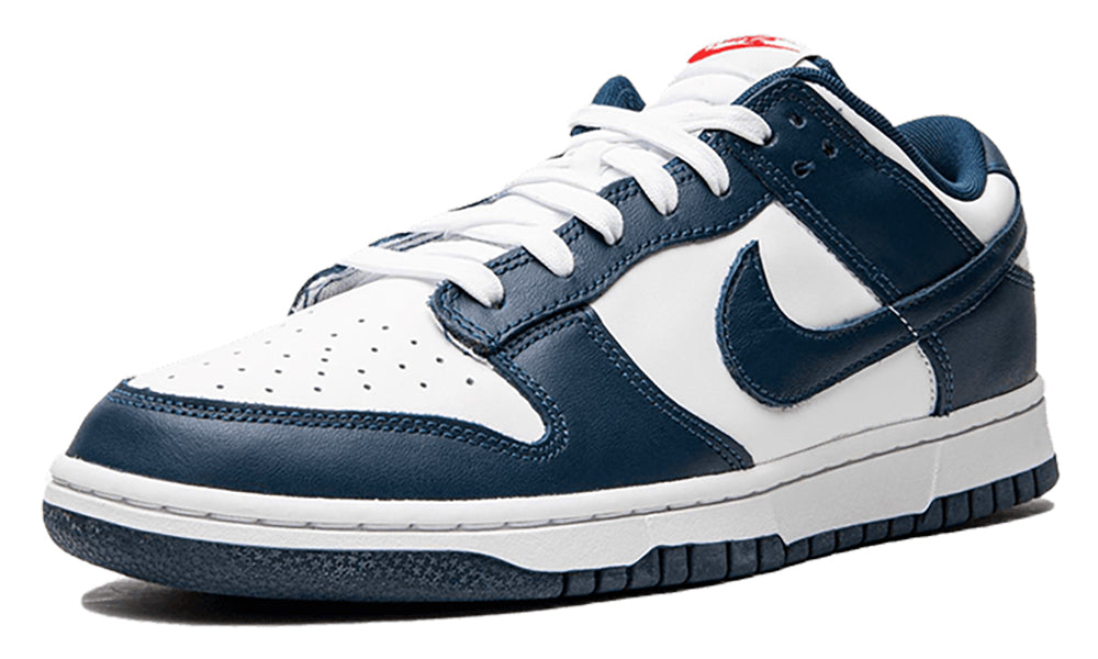 https://cdn.shopify.com/s/files/1/0560/7754/9738/products/nike-dunk-low-valerian-blue-4-1000.jpg?v=1665159319
